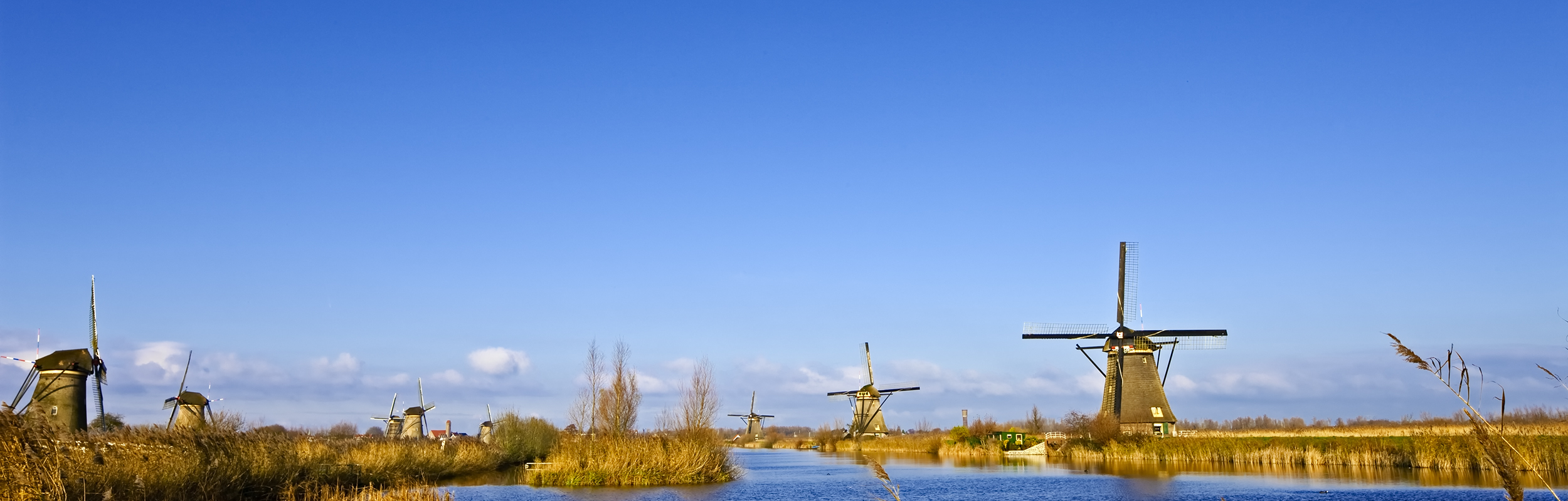 dutch landscape